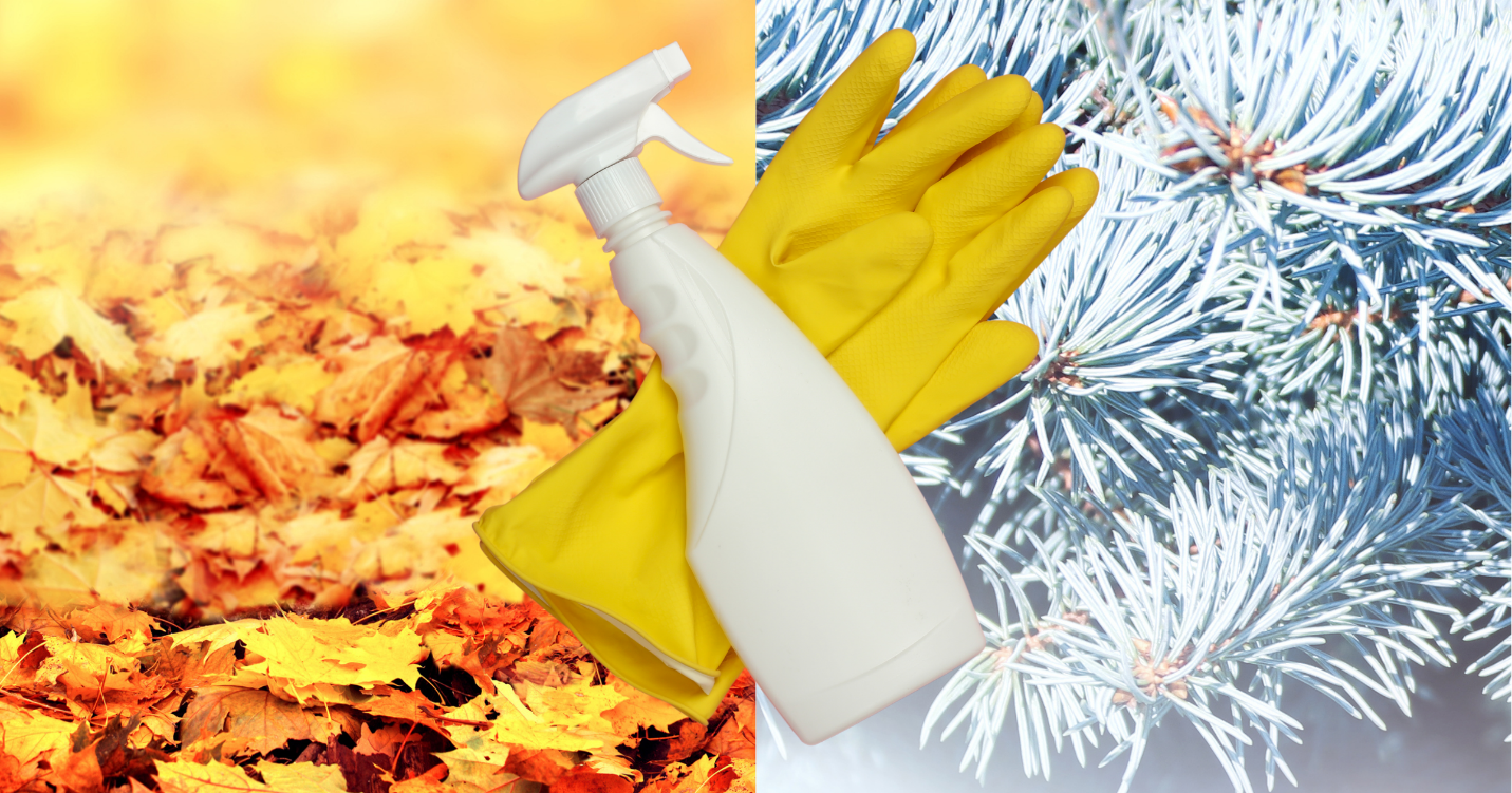 Expert Home Cleaning